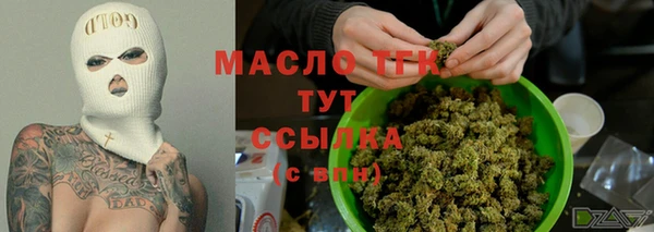 стаф Аркадак
