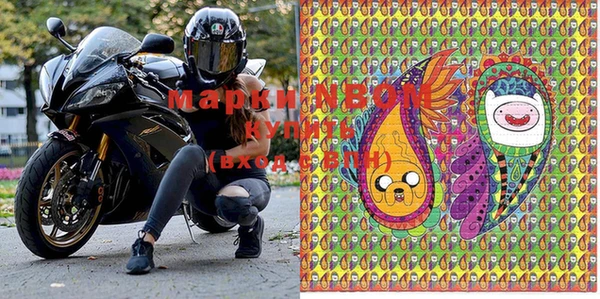 стаф Аркадак