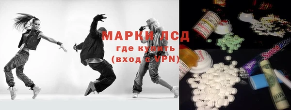 стаф Аркадак