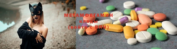 стаф Аркадак