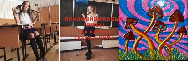 гашик Армянск