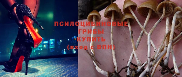 не бодяженный Арсеньев