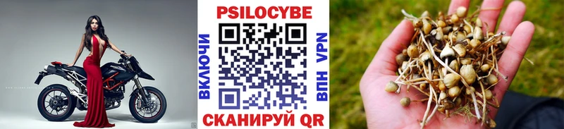Псилоцибиновые грибы ЛСД  МЕГА зеркало  Медвежьегорск 