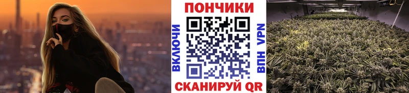 Конопля план  Медвежьегорск 